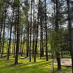 Cialo Odnowa Lewiczyn (Mlawa)