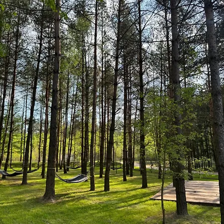 Cialo Odnowa Lewiczyn (Mlawa)