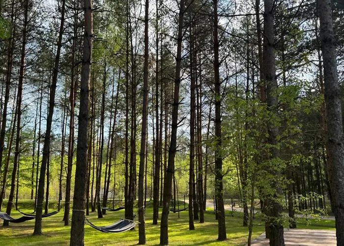 Cialo Odnowa Lewiczyn (Mlawa)